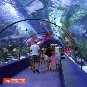 Ausflug zum Antalya Aquarium ab Alanya - Tripventura