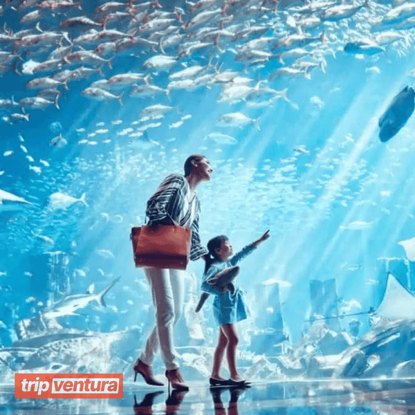 Entrébillet til Dubais akvarium The Lost Chambers – Tripventura