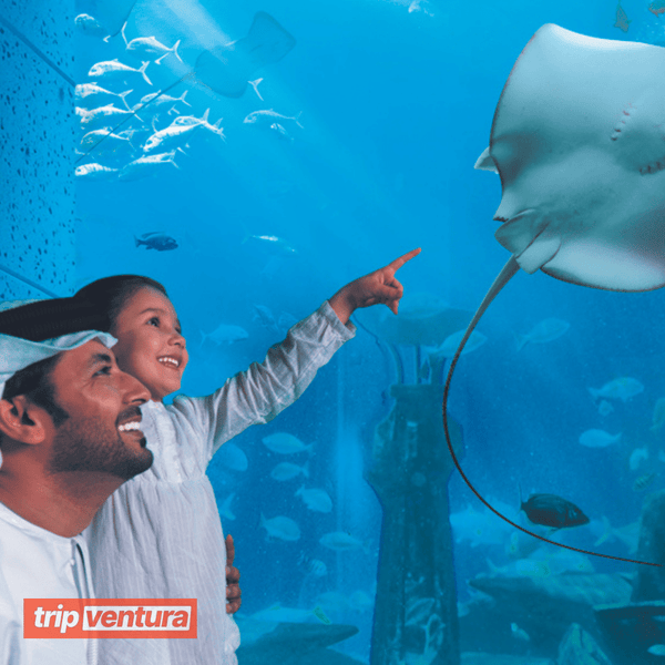 Entrébillet til Dubais akvarium The Lost Chambers – Tripventura