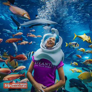 Dubai The Lost Chambers Aquarium Admission Ticket - Tripventura