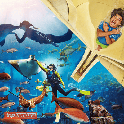 Dubai The Lost Chambers Aquarium Admission Ticket - Tripventura