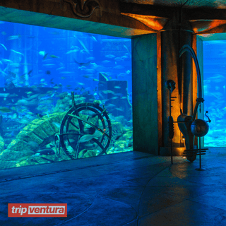 Dubai The Lost Chambers Aquarium Admission Ticket - Tripventura