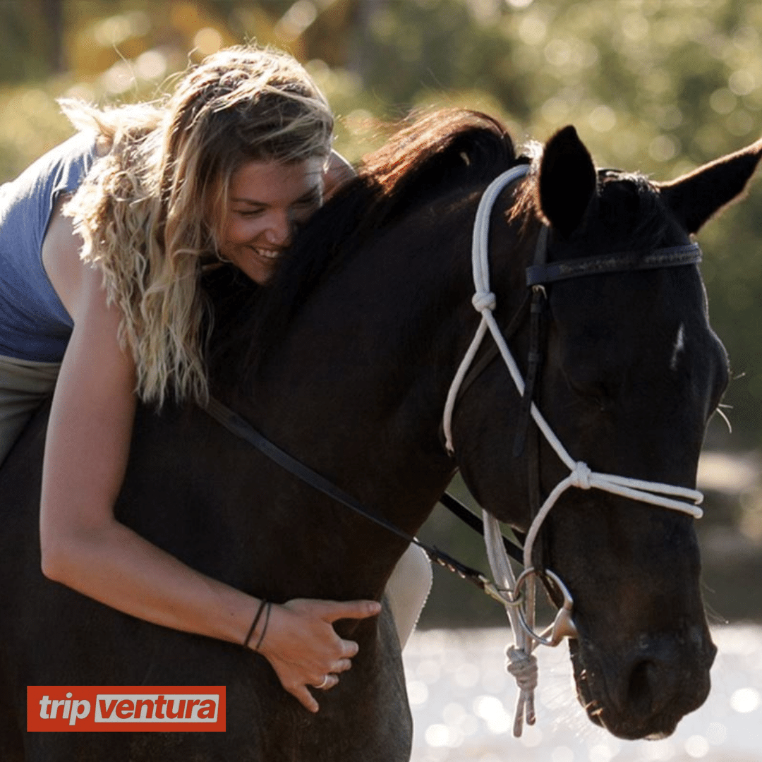 Bodrum Horse Riding Tour - Tripventura