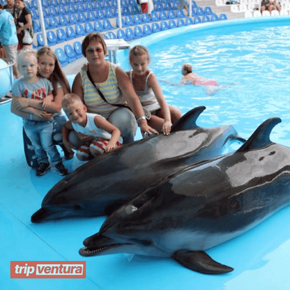 Alanya Swimming With Dolphins - Tripventura