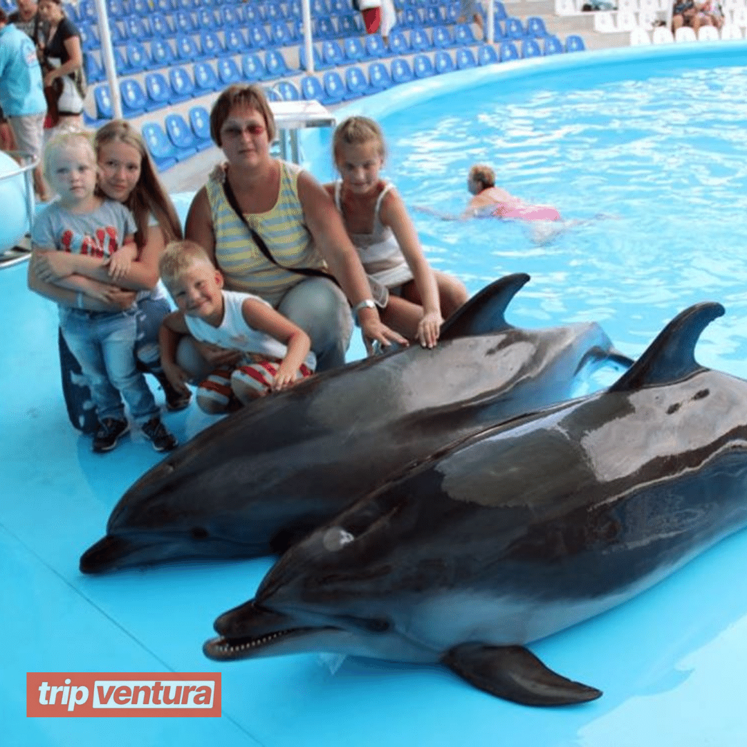 Kemer Dolphin & Sea Lions Show - Tripventura