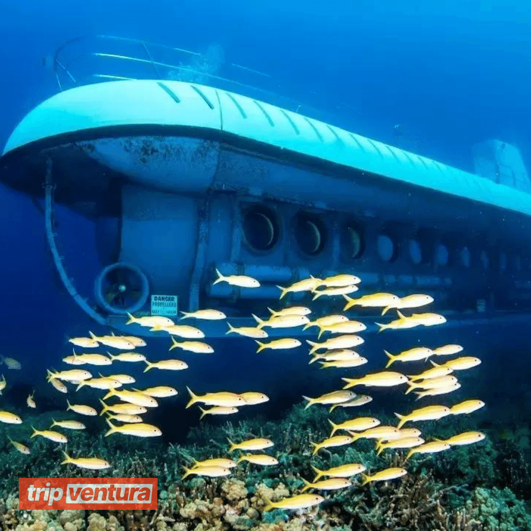 Belek Submarine Tour - Tripventura