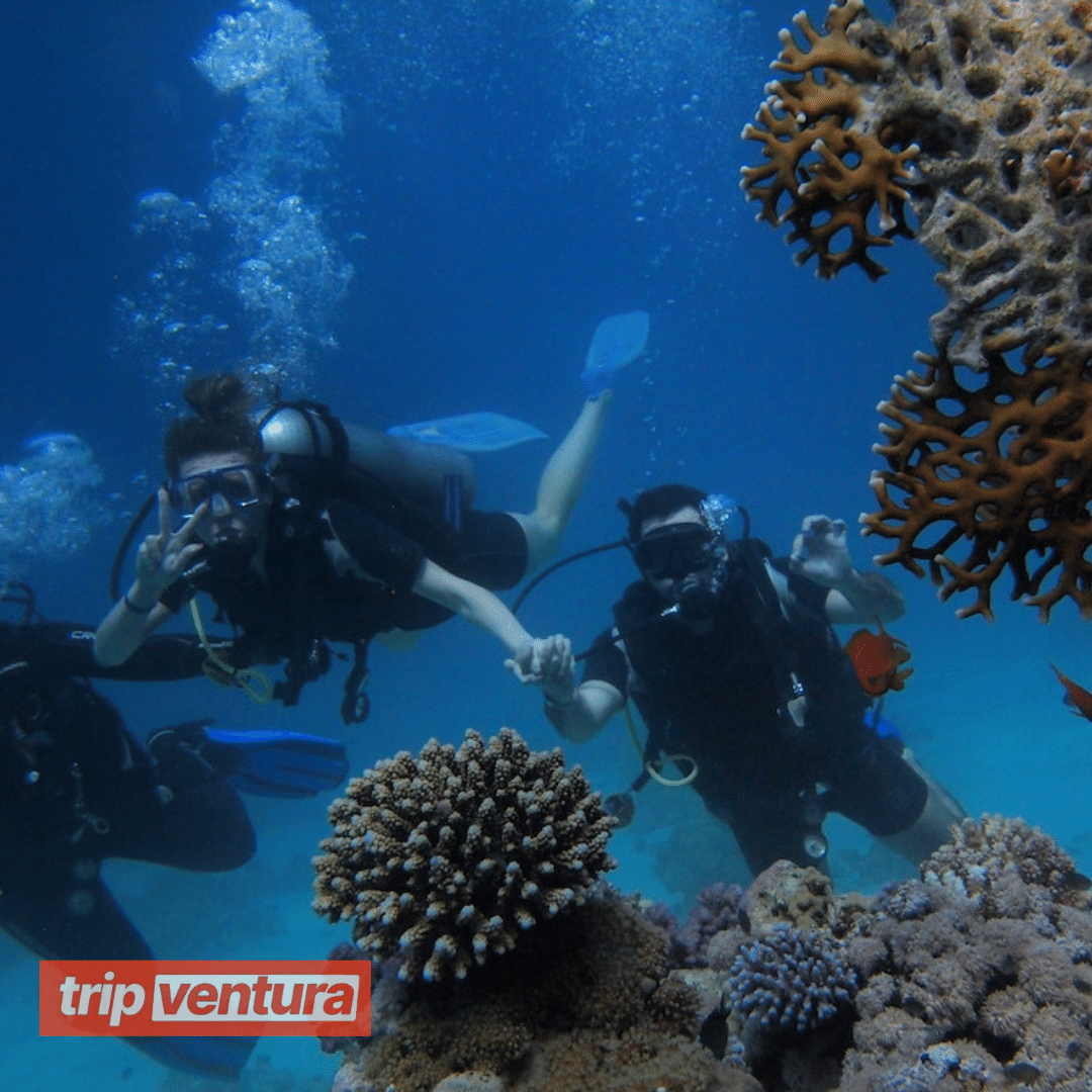 Alanya Scuba Diving Tour - Tripventura