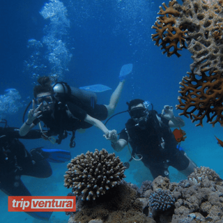Belek Underwater Scuba Diving - Tripventura