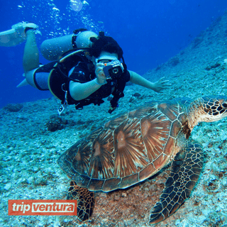 Belek Underwater Scuba Diving - Tripventura