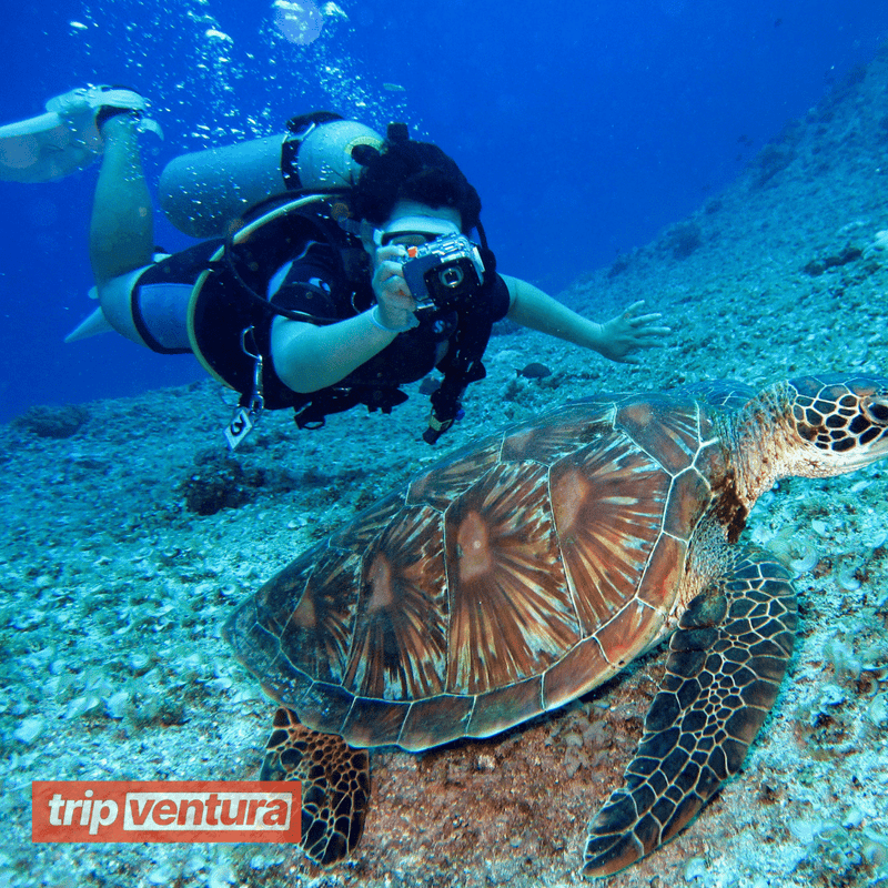Belek Underwater Scuba Diving - Tripventura