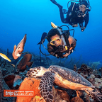 Kemer Scuba Diving with BBQ Lunch & Transfer from Belek