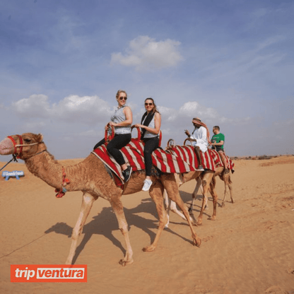 Dubai Desert Safari Red Dune Bashing, Sand Boarding, Camel Riding With Live Entertainment & BBQ Dinner - Tripventura