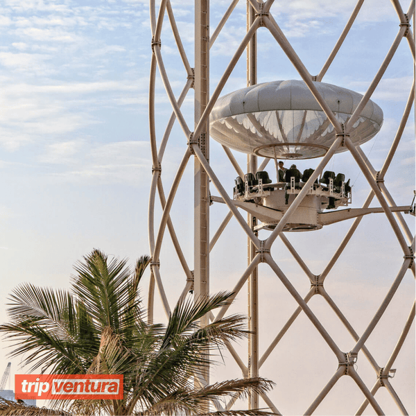 Flying Cup (Nur Flug) - Tripventura
