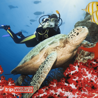 Belek Underwater Scuba Diving - Tripventura