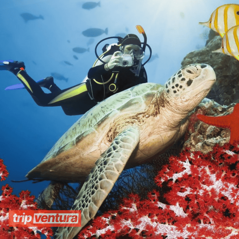 Belek Underwater Scuba Diving - Tripventura