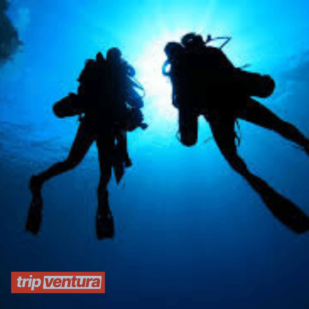 Side Scuba Diving Discover Underwater Museum - Tripventura