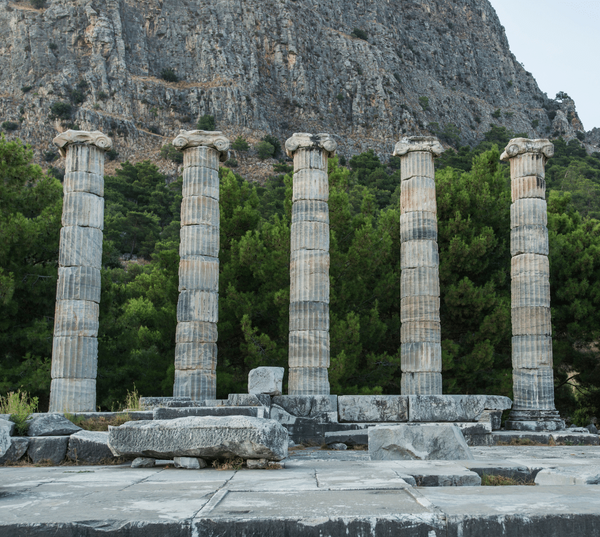 Kusadasi: Tägliche Tour nach Priene, Miletos & Didyma - Tripventura