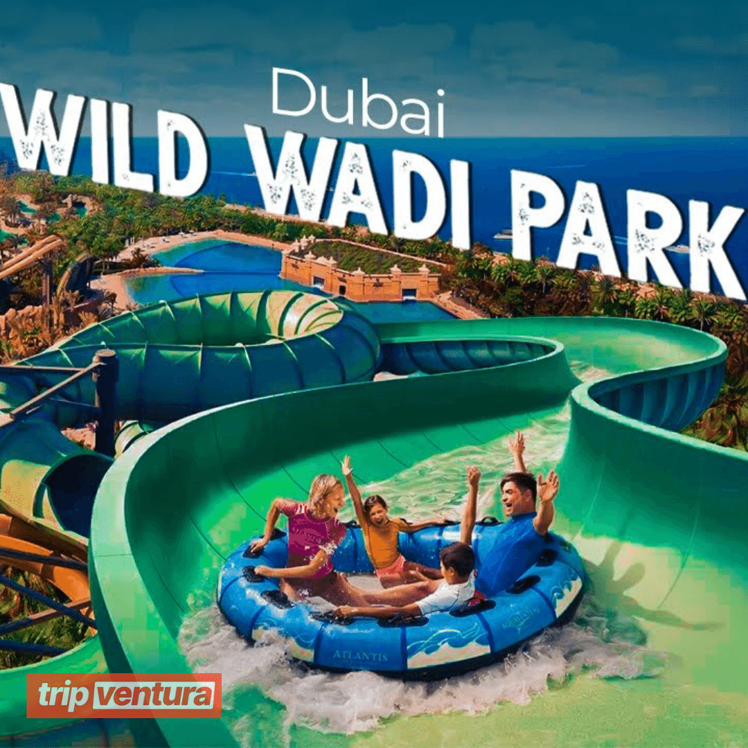 Dubai Wild Wadi Waterpark - Tripventura