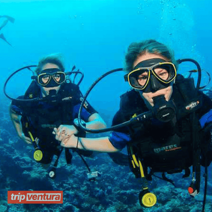 Bodrum Scuba Diving - Tripventura