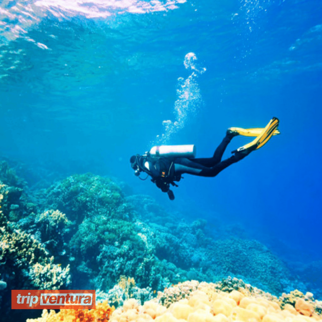 Bodrum Scuba Diving - Tripventura
