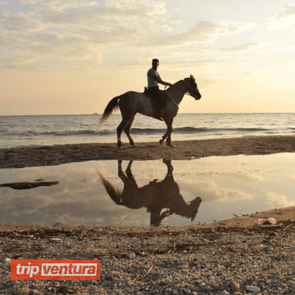 Alanya Private Horse Riding Tour On the Beach - Tripventura