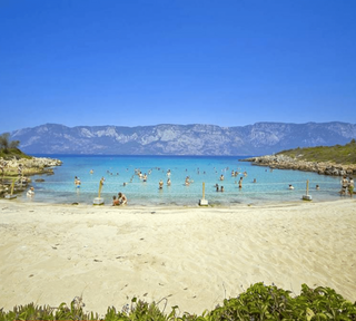 Marmaris Turtle Beach Boat Tour & Mud Bath & Thermal Pool - Tripventura