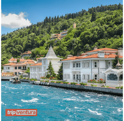 İstanbul Daily Prince's Island Tour - Tripventura
