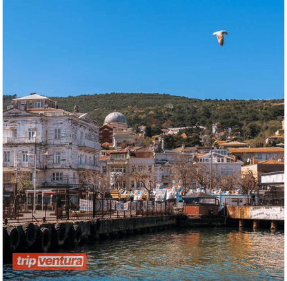 İstanbul Daily Prince's Island Tour - Tripventura