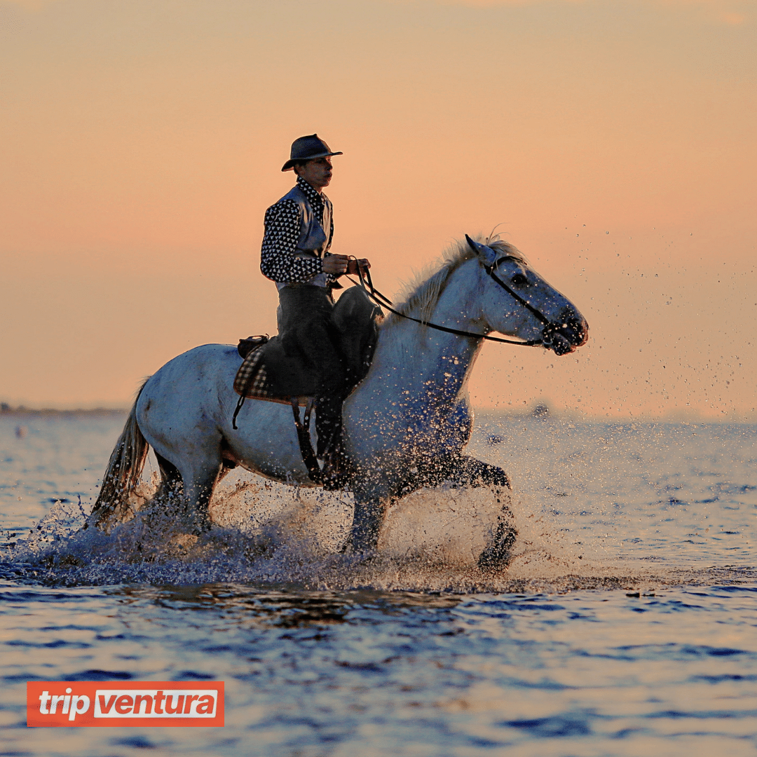 Alanya Horse Riding Tour - Tripventura