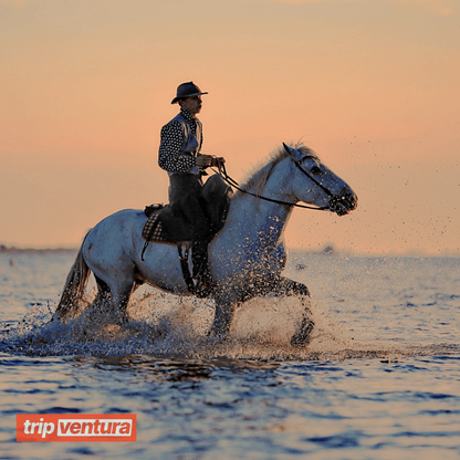 Antalya Horse Riding Tour - Tripventura