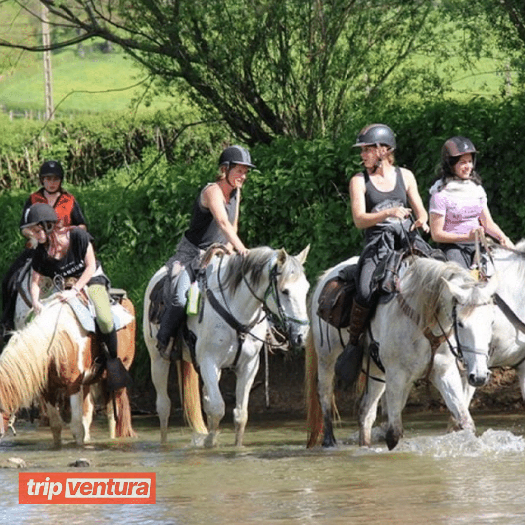 Kemer Horse Riding for Animal Lovers - Tripventura