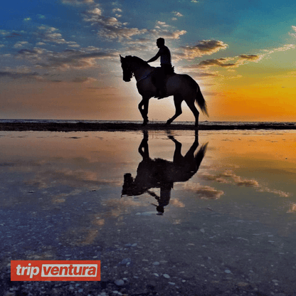 Alanya Private Horse Riding Tour On the Beach - Tripventura