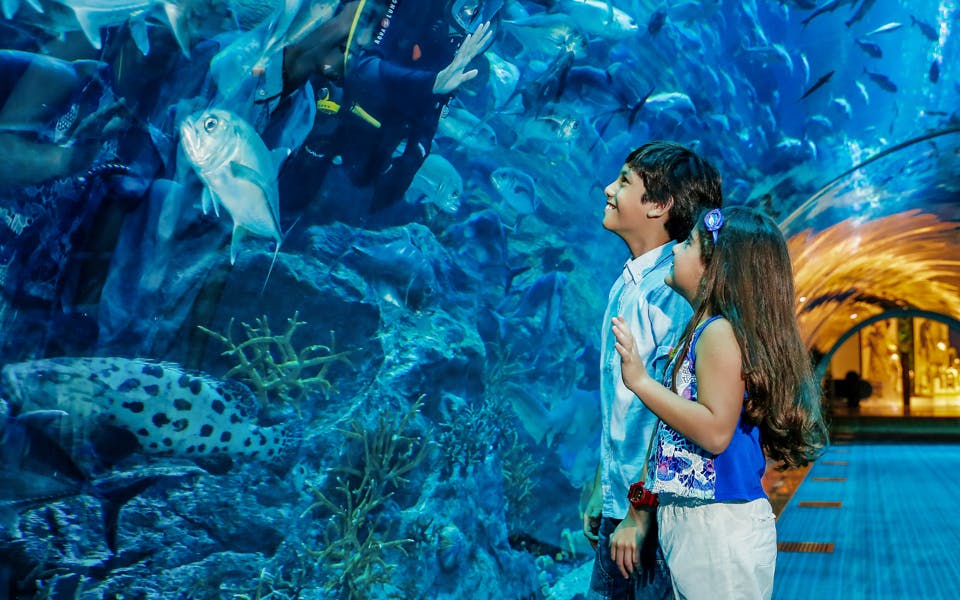 Билеты в аквариум Dubai Mall и бухту пингвинов