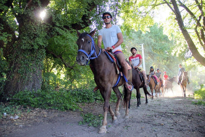 Side Horseback Riding Experience in the Forest & on The Beach with Instructor & Roundtrip Transfer