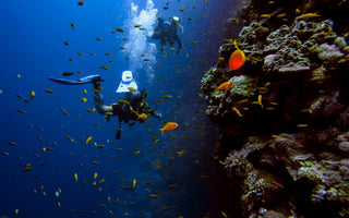 underwater breathing apparatus (SCUBA) to explore marine