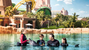 Dubai Atlantis Aquaventure Waterpark med delfiner
