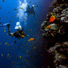 Kusadasi Scuba Diving