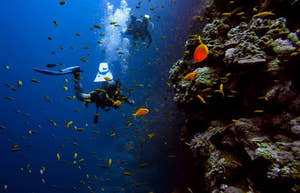Kusadasi Scuba Diving