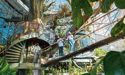 Пара в отеле The Green Planet Dubai