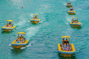 The Yellow Boats sightseeing tour experience