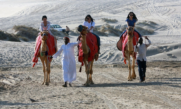 Qatar Camel Safari Caravan Experience