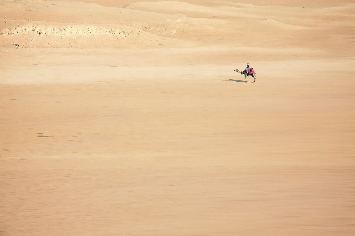 Sunset Camel Trek