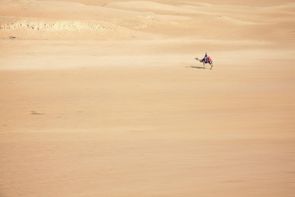 Sunset Camel Trek