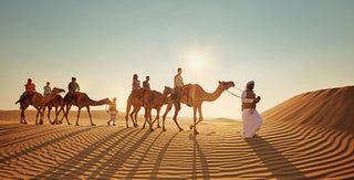 People camel trekking through the desert
