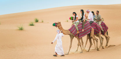 Dubai Caravanserai 5-Star Buffet Dinner, Desert Safari, Dune Bashing, Camel Riding, & Entertainment With Private Car