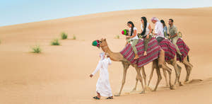 People Riding Camels