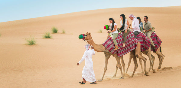 People Riding Camels