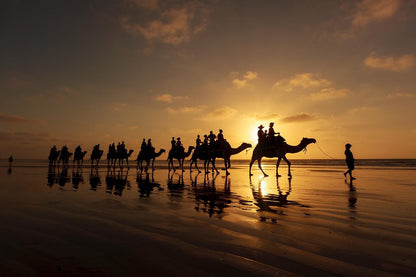 Абу-Даби: 1-часовой поход на верблюде с трансфером туда и обратно и безалкогольными напитками