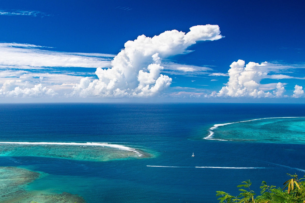 Glass-Bottom Boat & Snorkelling Combo
