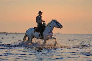Ridetur i Antalya med tur/retur transport